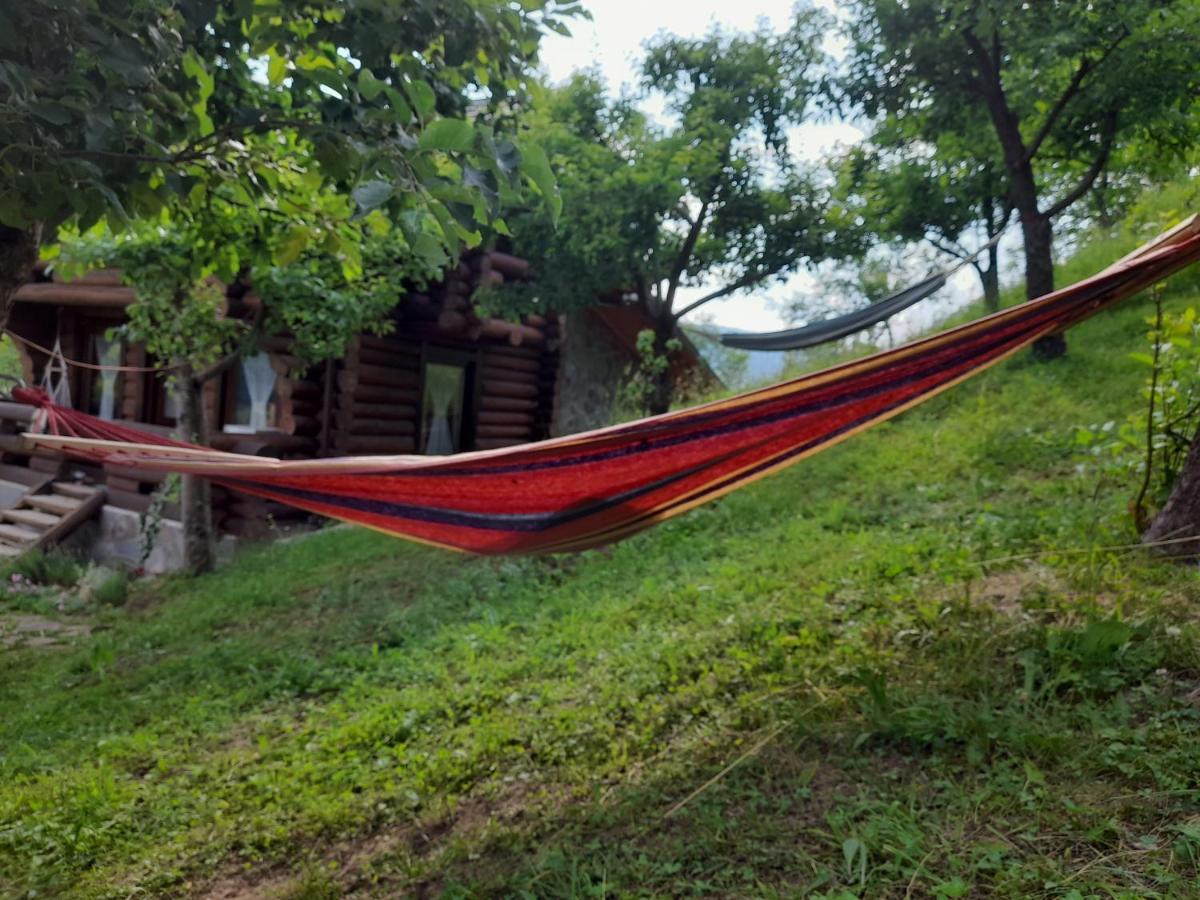 Cabana Din Revier Viseu de Jos Buitenkant foto