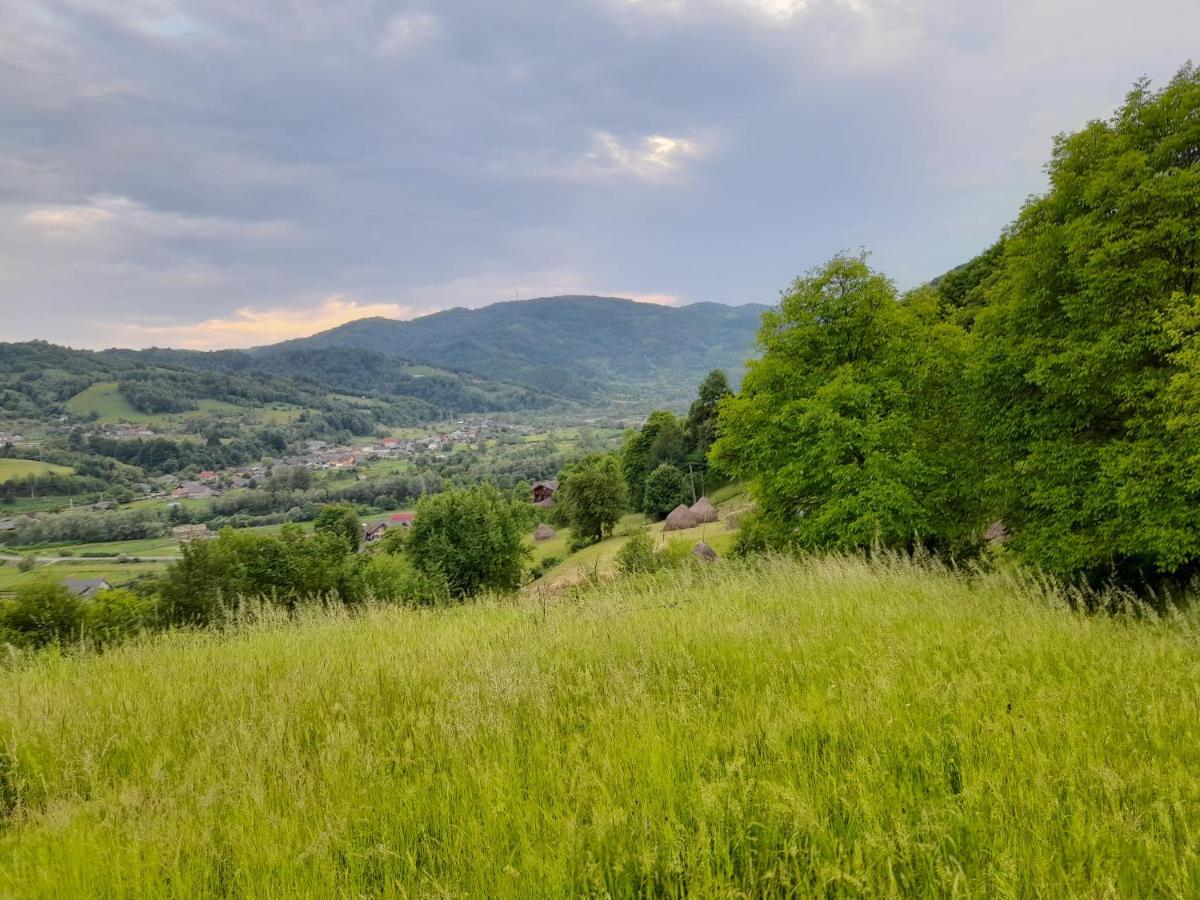 Cabana Din Revier Viseu de Jos Buitenkant foto