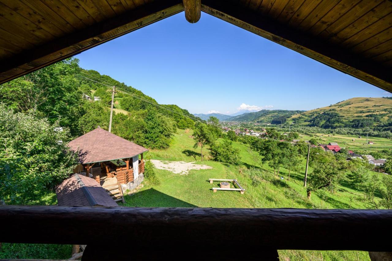 Cabana Din Revier Viseu de Jos Buitenkant foto