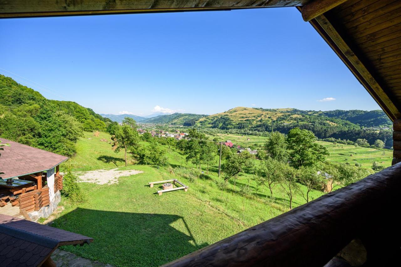 Cabana Din Revier Viseu de Jos Buitenkant foto