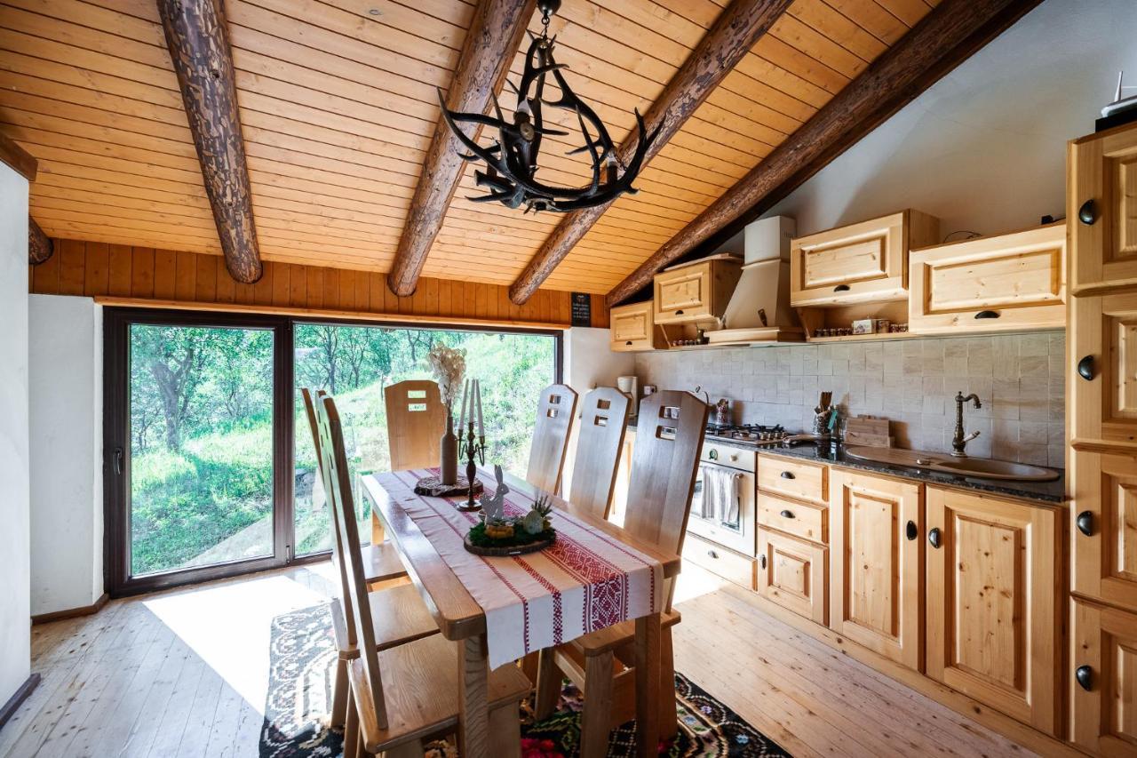 Cabana Din Revier Viseu de Jos Buitenkant foto