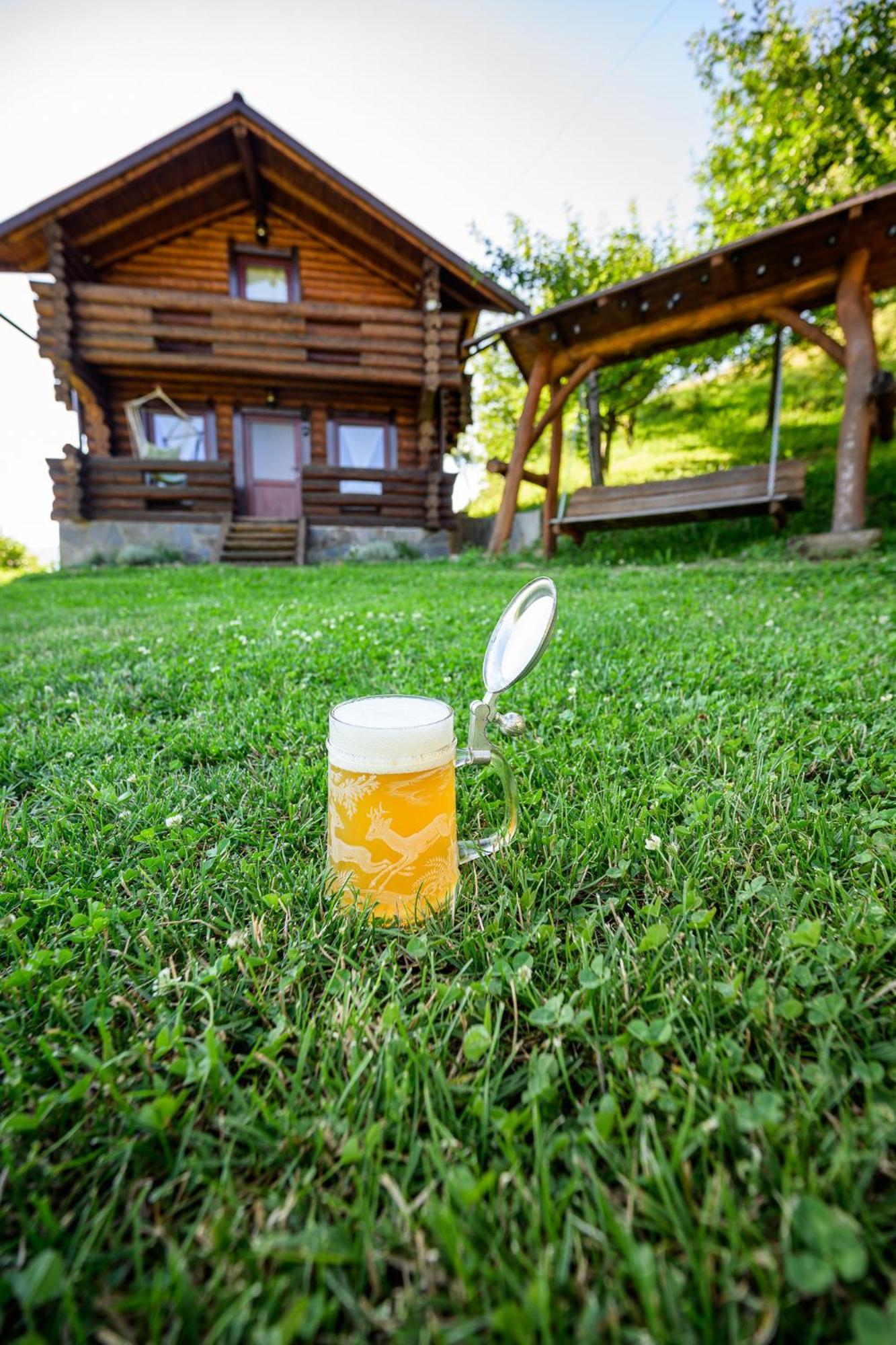 Cabana Din Revier Viseu de Jos Buitenkant foto