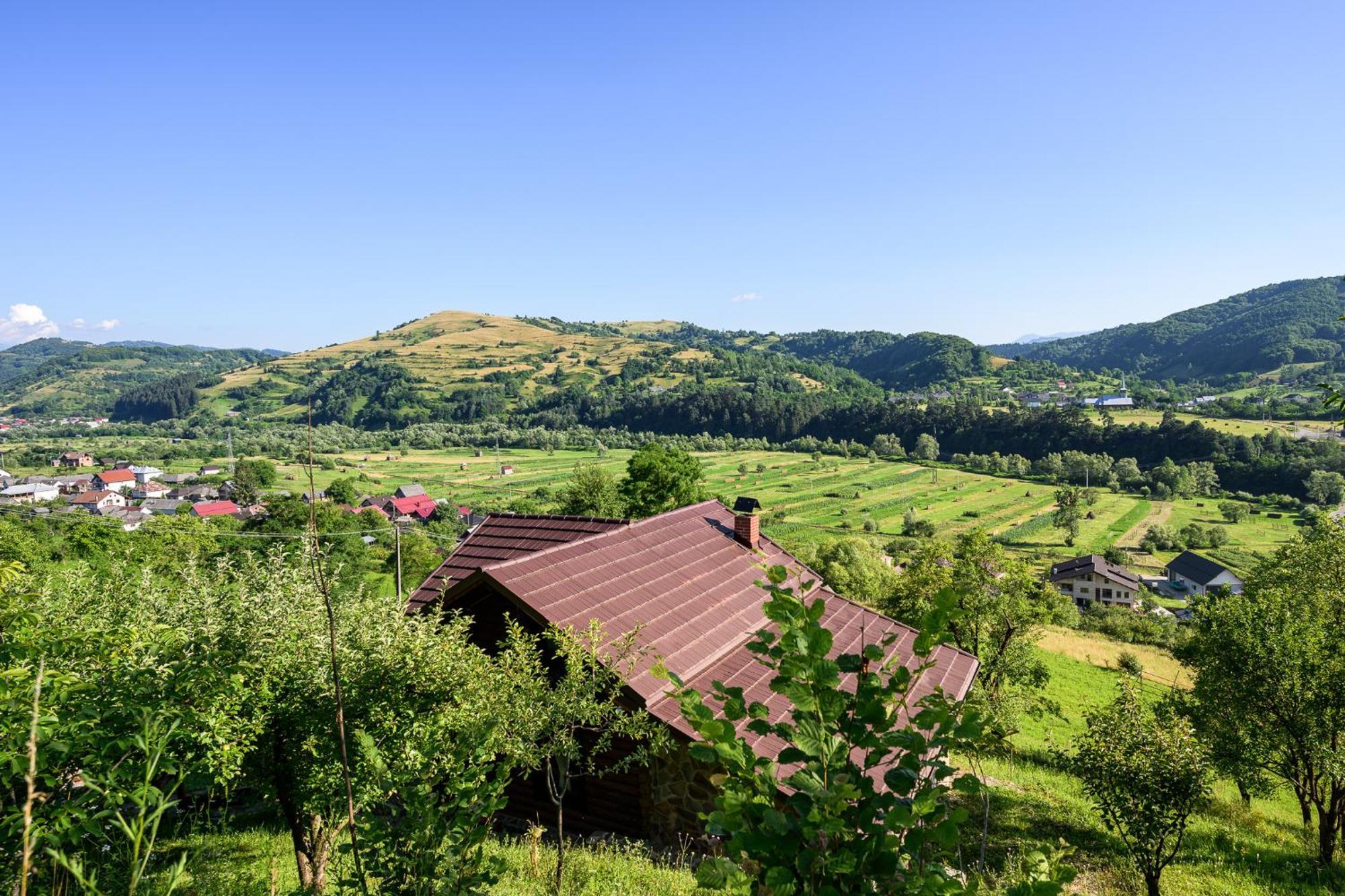 Cabana Din Revier Viseu de Jos Buitenkant foto